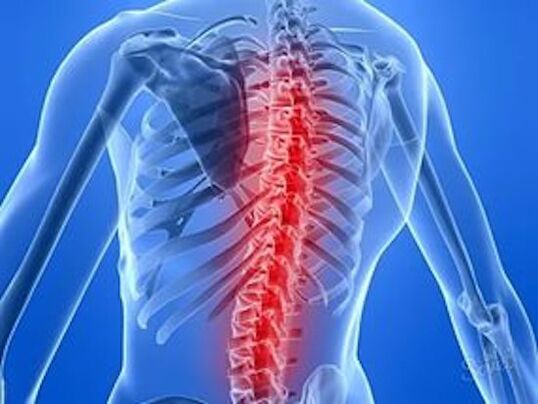 заболяване на гръбначния стълб причинява болка в гърба